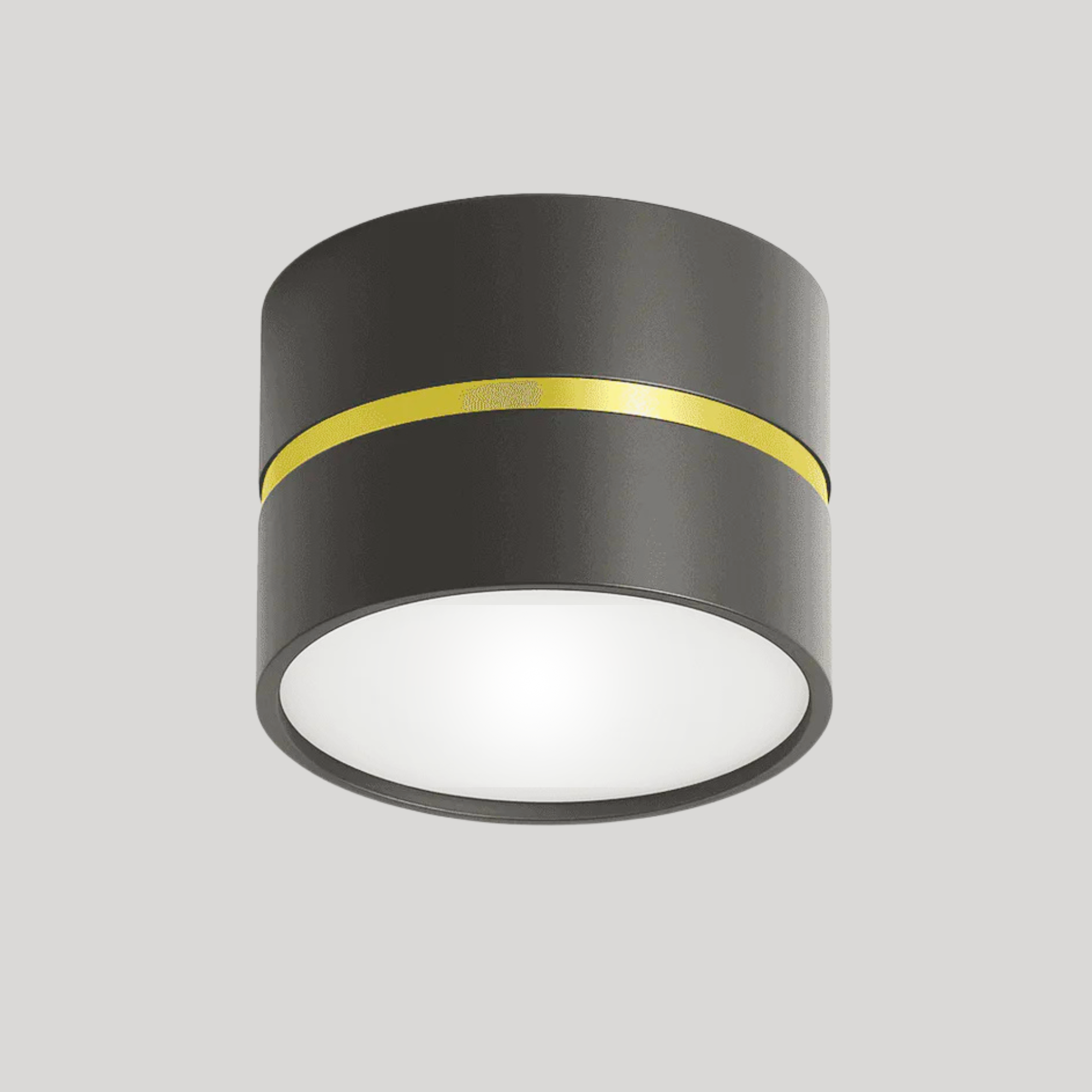 Ravea  Downlights