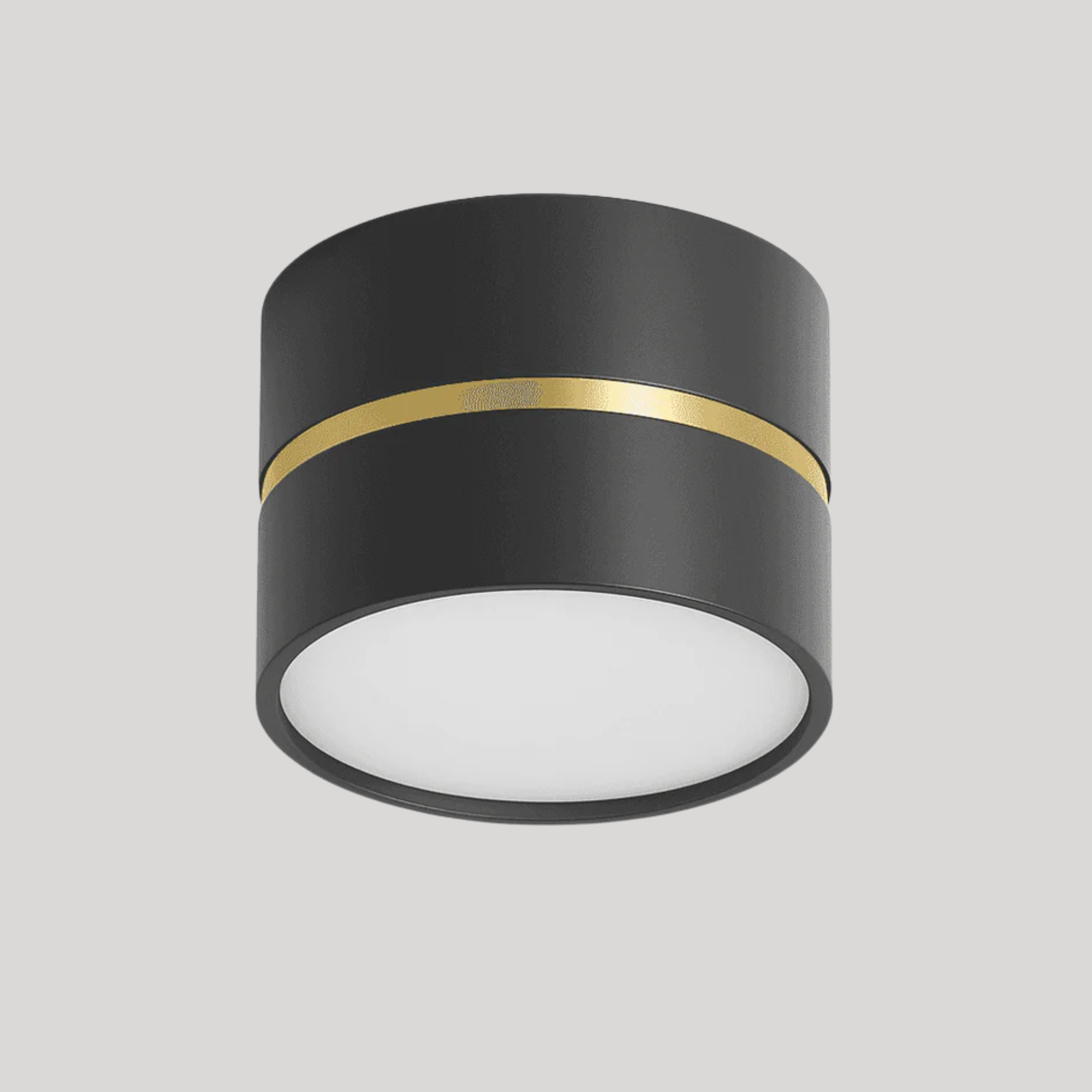 Ravea  Downlights