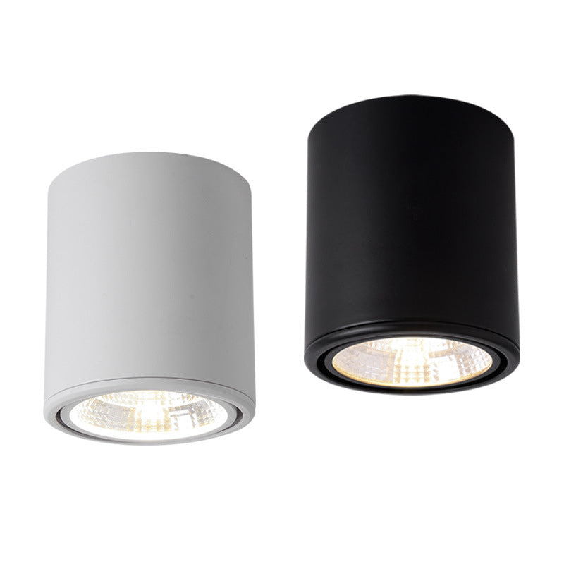Avara Downlight