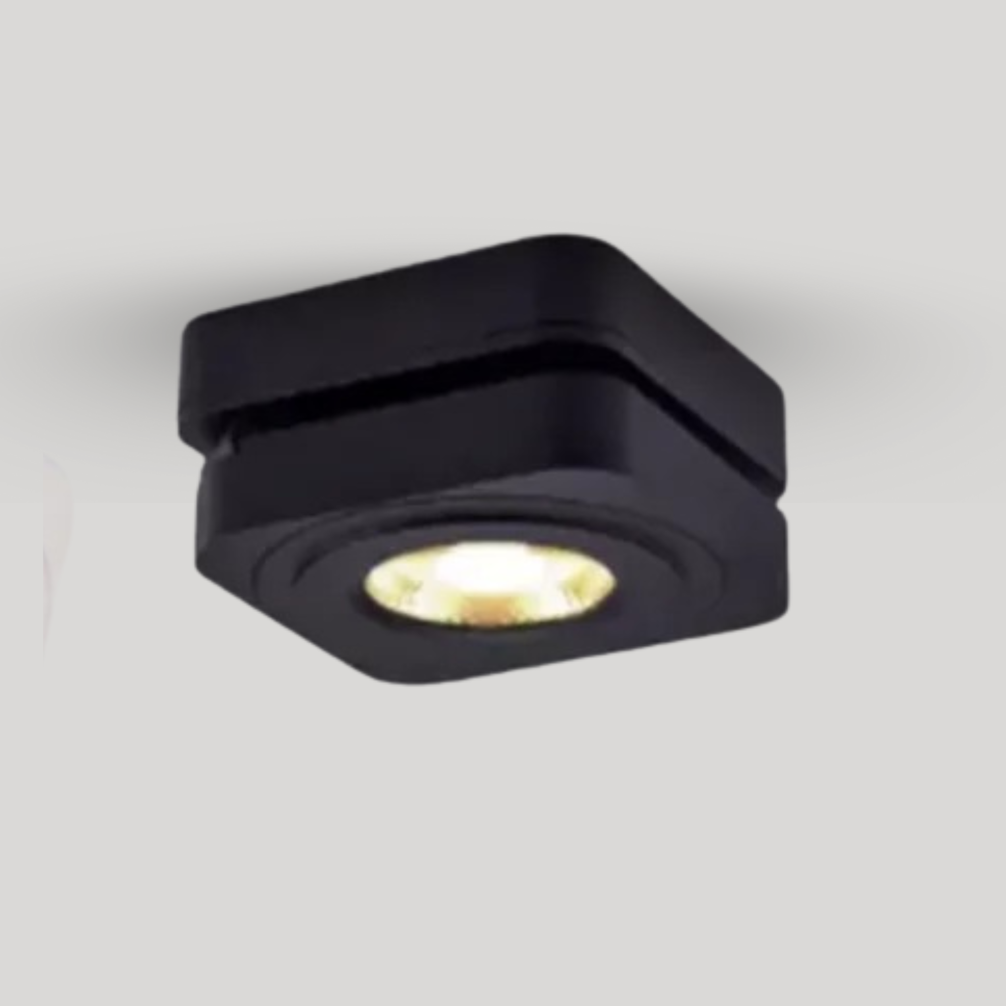 Tressa Downlight