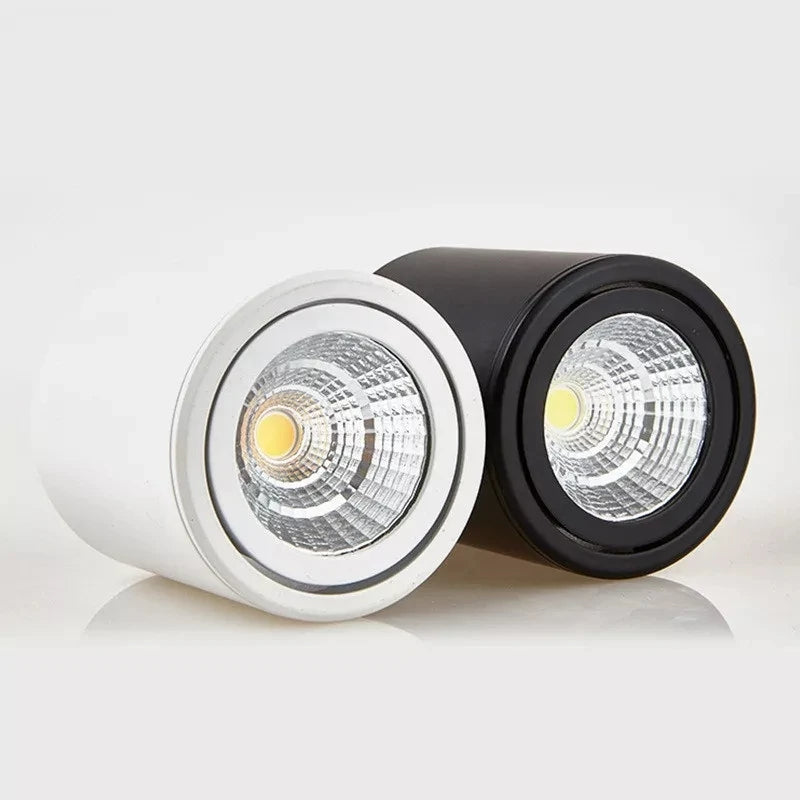 Avara Downlight