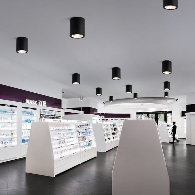 Avara Downlight
