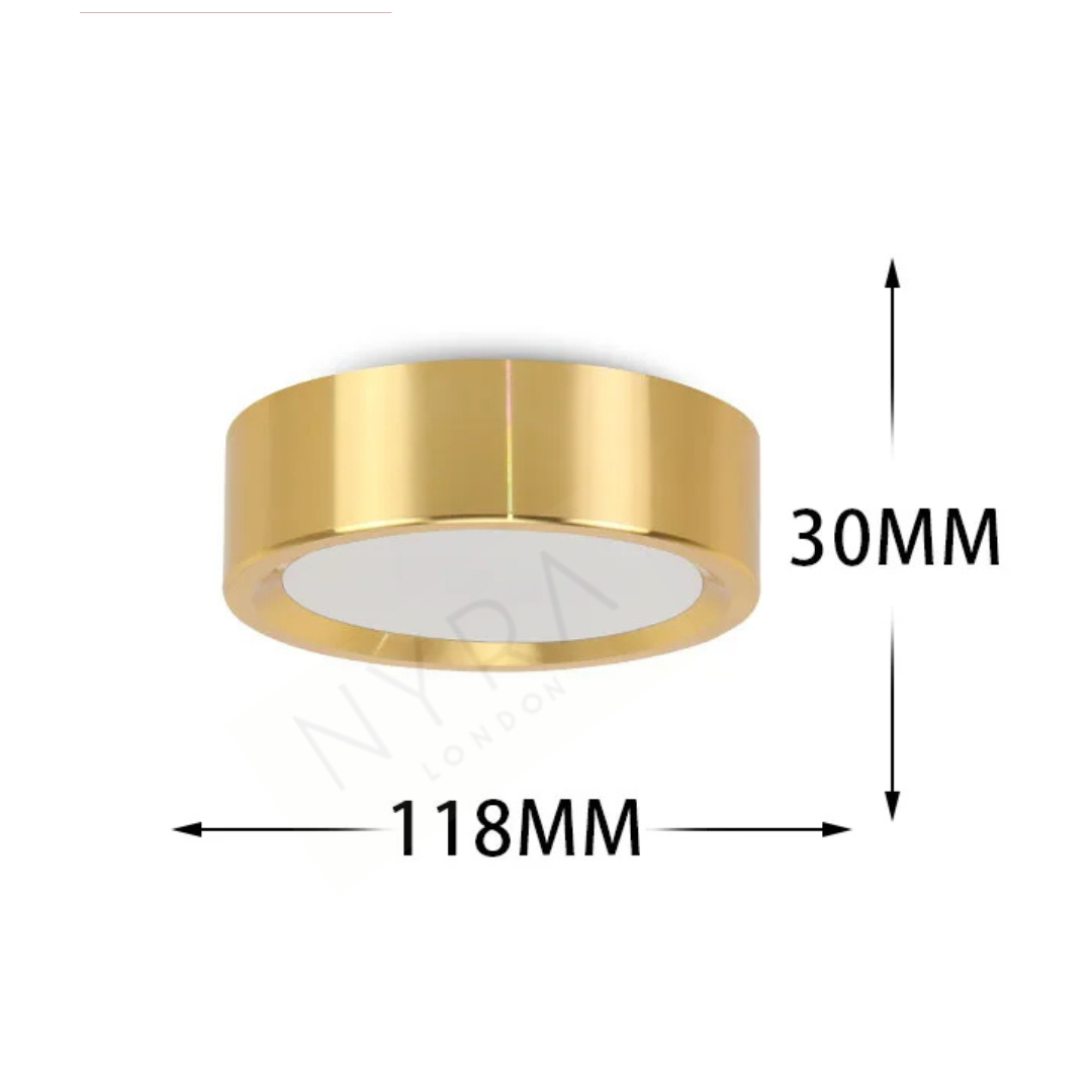 Orimex Ceiling Spot Light