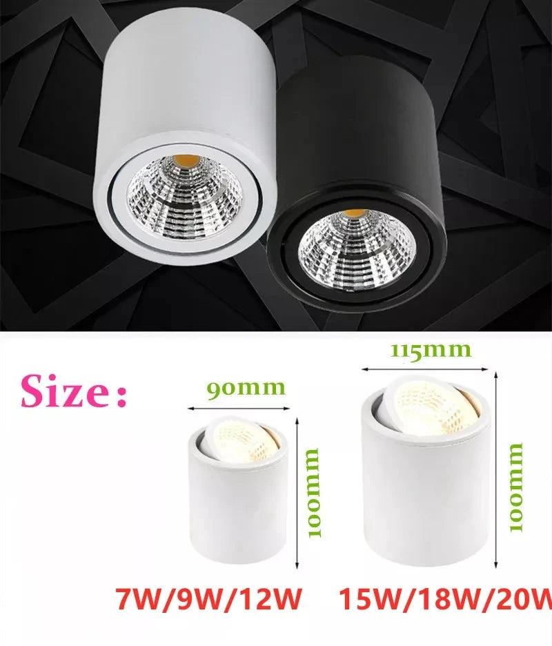 Avara Downlight