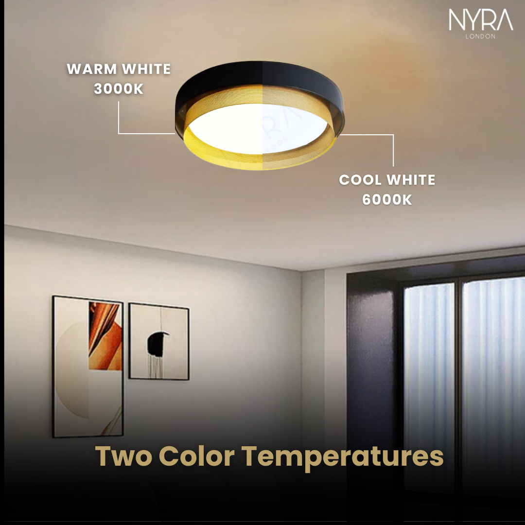 Evlon Circular Ceiling Light