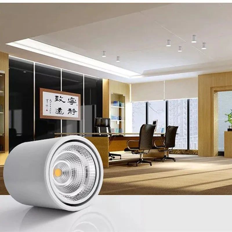 Avara Downlight
