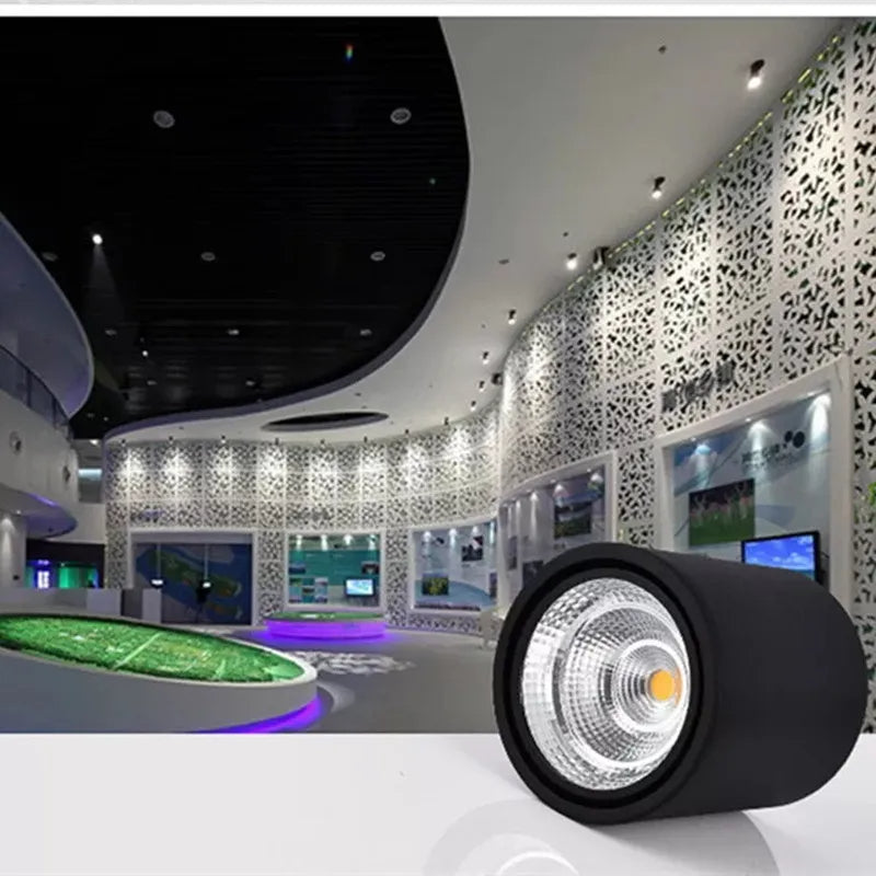 Avara Downlight