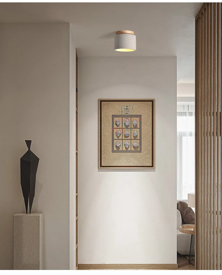 Tarin Wabi-Sabi Downlight
