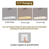 Tommy Crystal Oval Chandelier