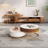 Wooden Lift Top Round Stainless steel Nordic Marble Coffee Table