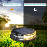 NYRA Lawn Pathway Light