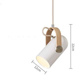 Macaroon Rainbow Pendant Lights