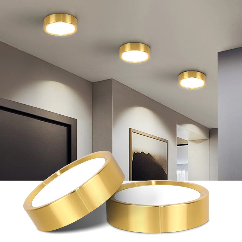 Orimex Ceiling Spot Light