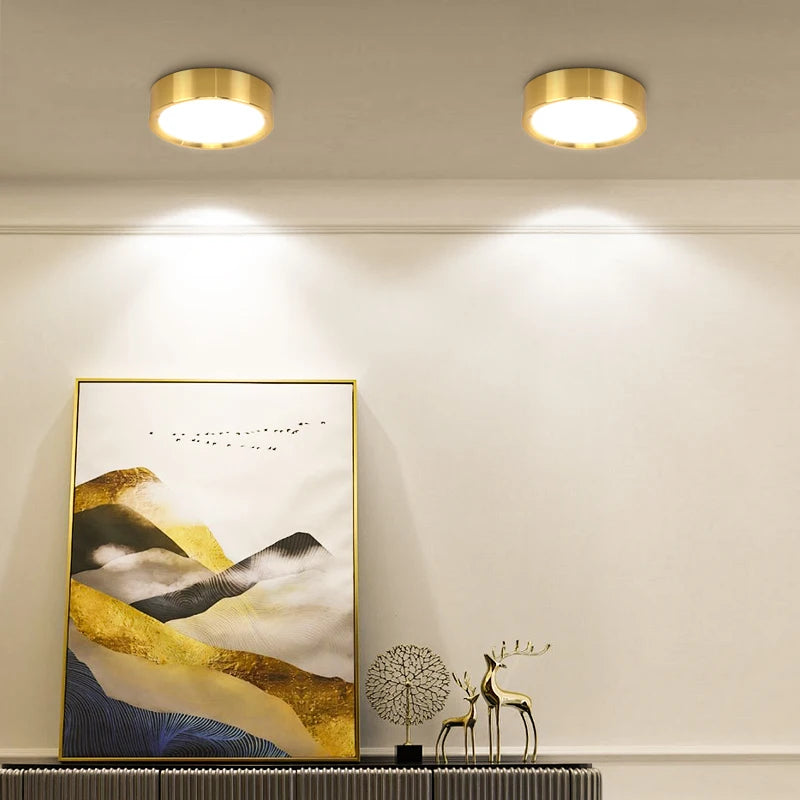 Orimex Ceiling Spot Light