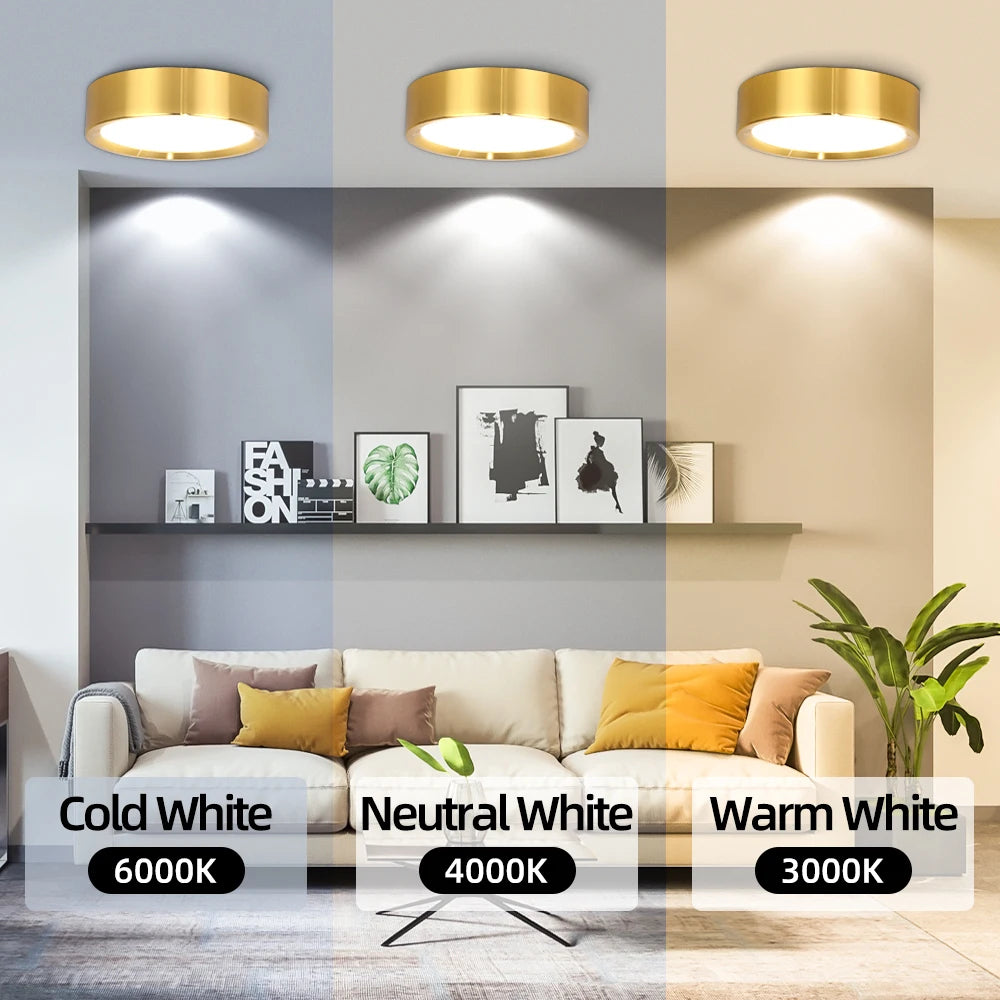 Orimex Ceiling Spot Light