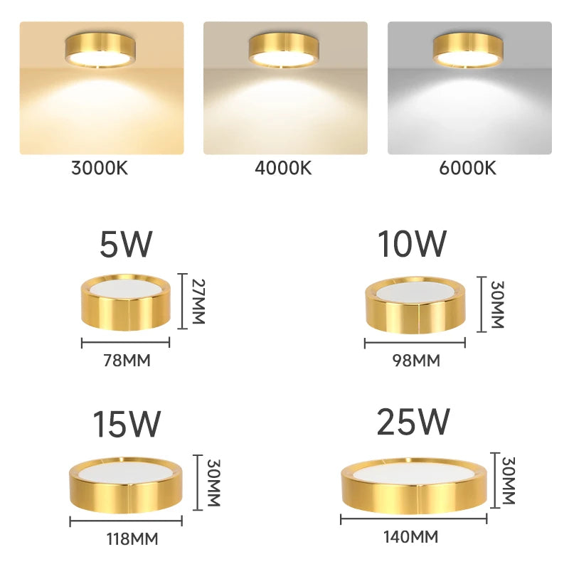 Orimex Ceiling Spot Light