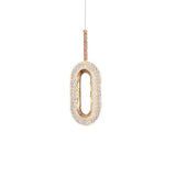 Modern Led Oval Pendant Light