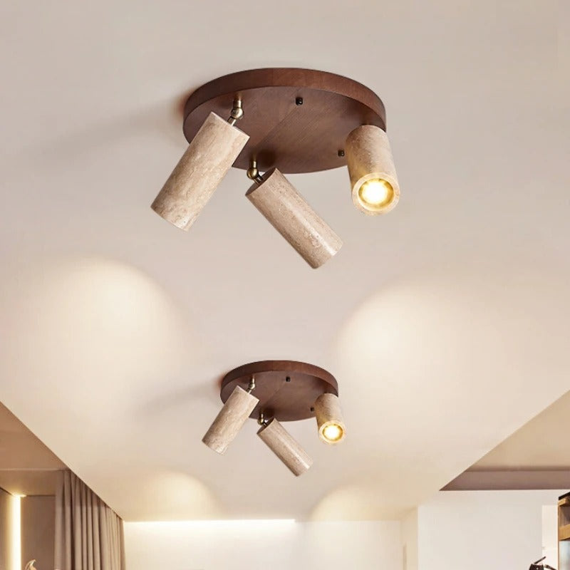 Satori Rotatable Ceiling Fixture