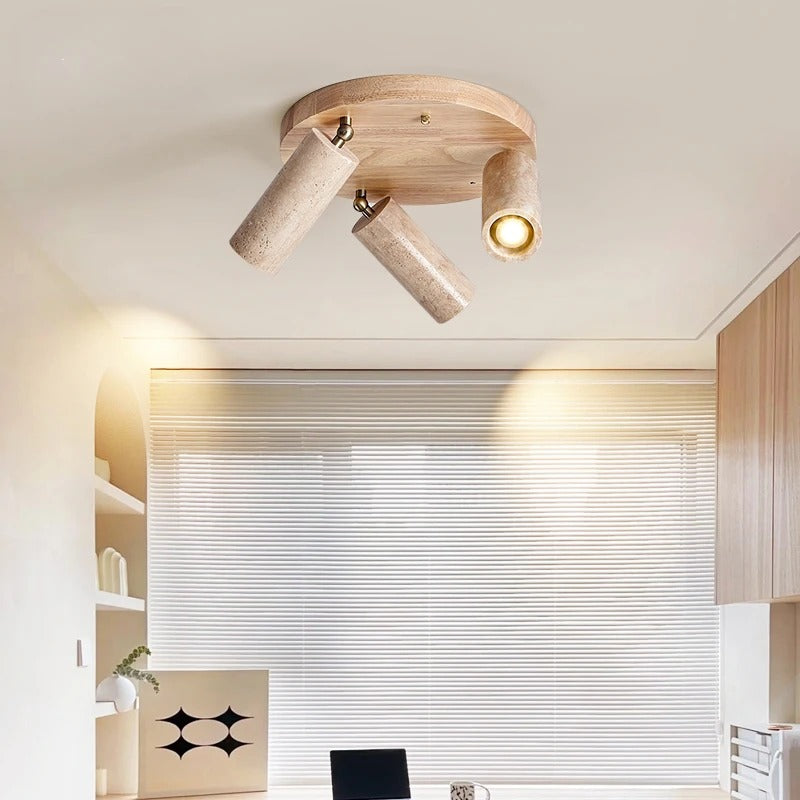 Satori Rotatable Ceiling Fixture